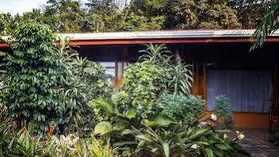 Monteverde Rustic Lodge | Puntarenas (ili) - Monteverde