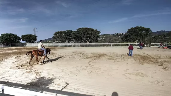 Il Parco Degli Ulivi | Sicilya - Messina (vilayet) - Villafranca Tirrena