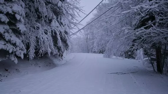 La Chaumiere de l' Anse | Quebec - Les Laurentides Regional County Belediyesi - Tremblant Dağı (ve civarı) - Mont-Tremblant