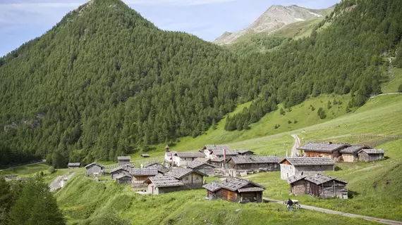 Residence Hauserhof | Trentino-Alto Adige - Güney Tirol (il) - Rodengo - Chifa