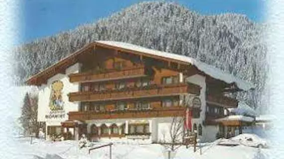 Hotel Moawirt | Salzburg (eyalet) - Sankt Johann im Pongau - Wagrain