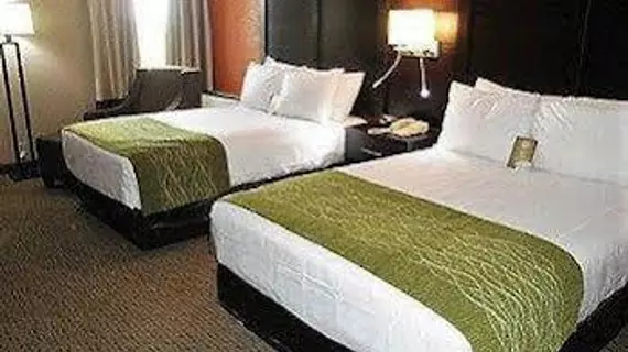 Comfort Inn & Suites | Indiana - Evansville (ve civarı) - Evansville