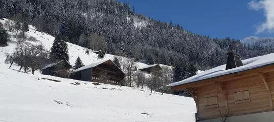 Le Chabi | Auvergne-Rhone-Alpes - Haute-Savoie (bölge) - La Chapelle-d'Abondance