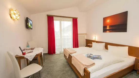 Hotel Garni Landhaus Gitti | Salzburg (eyalet) - Zell am See - Zell am See