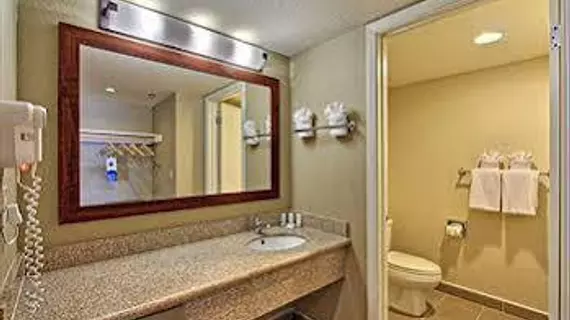 Comfort Inn Downtown Morro Bay | Kaliforniya - San Luis Obispo (ve civarı) - Morro Bay