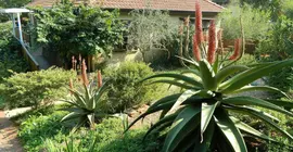 Mackaya Bella Guest House | KwaZulu-Natal (il) - Ethekwini - Durban - Berea - Glenwood