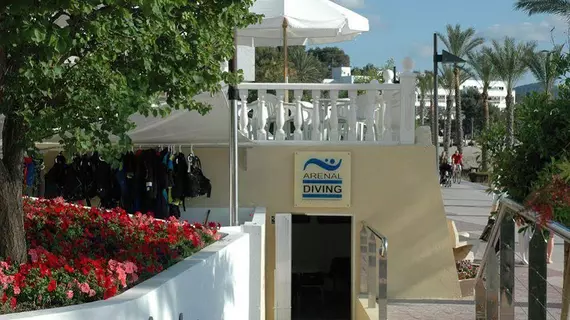 Hotel Ses Savines | Balearic Adaları - İbiza Adası - Sant Antoni de Portmany