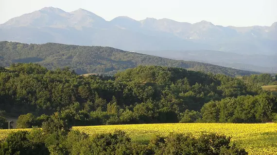 Auberge Du Balestié | Occitanie - Aude (bölge) - Carcassonne (ve civarı) - Malegoude