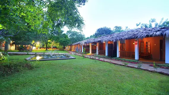 Royal Retreat Sigiriya | Merkez Vilayet - Matale Bölgesi - Sigiriya