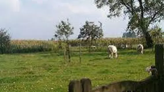 B&B Aerdgoed | Flaman Bölgesi - Batı Flanders (il) - Lendelede