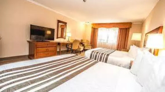 Best Western Plus Ottawa City Centre | Ontario - Ottawa (ve civarı) - Ottawa