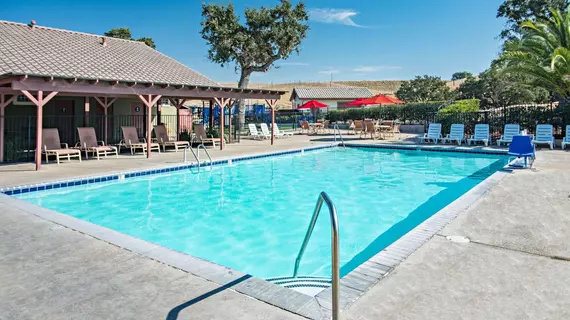 Wine Country RV Resort | Kaliforniya - San Luis Obispo (ve civarı) - Paso Robles