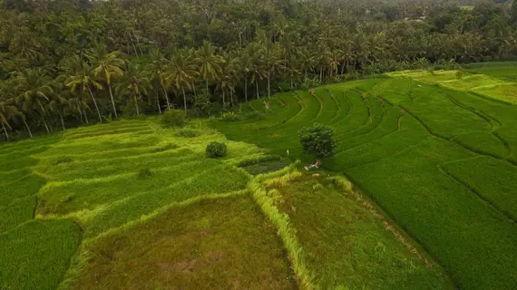 Purana Boutique Resort | Bali - Ubud - Peliatan