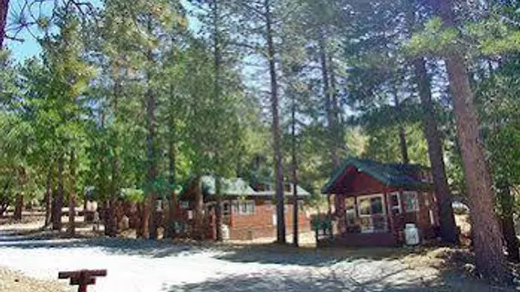 Idyllwild RV Resort - Caravan Park | Kaliforniya - Riverside County - Idyllwild