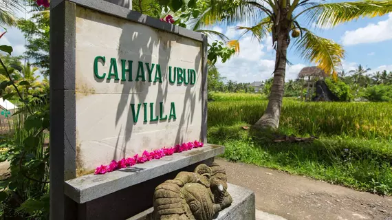 Cahaya Ubud Villa | Bali - Ubud