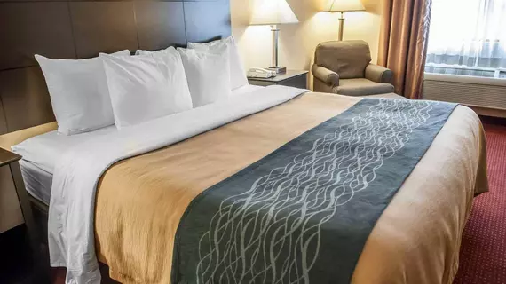 Quality Inn | New Mexico - Albuquerque (ve civarı) - Rio Rancho