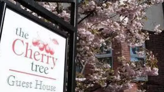 The Cherry Tree Guest House | Doğu Sussex (kontluk) - Eastbourne