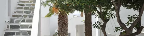 Rallis Apartments | Ege Adaları - Paros