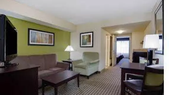 Holiday Inn Express & Suites Sarasota East | Florida - Sarasota (ve civarı) - Sarasota