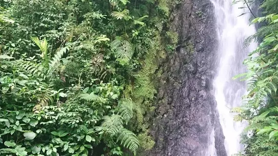 Vista Verde Lodge | Guanacaste - Tronadora