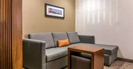 Comfort Suites Florence | Kentucky - Covington (ve civarı) - Floransa