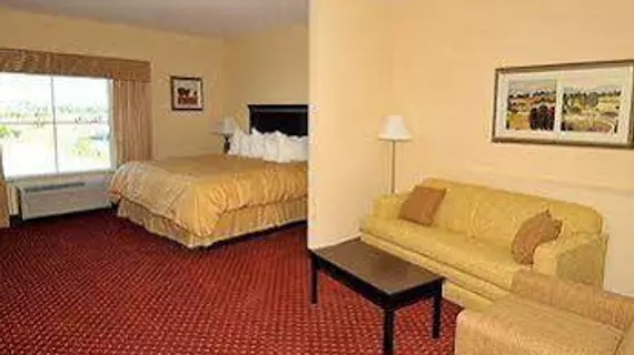 Comfort Suites West Memphis | Arkansas - Batı Memphis (ve civarı) - Batı Memphis