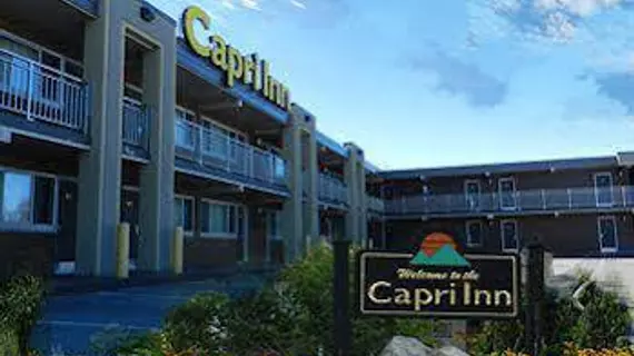 Capri Inn | Ontario - Niagara Regional Belediyesi - Niagara Şelalesi (ve civarı), Kanada - St. Catharines