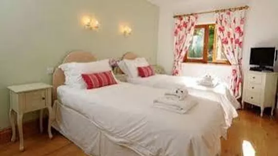 Bodhi House Bed and Breakfast | Somerset - Bath (ve civarı) - Bath