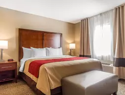 Comfort Inn and Suites Rocklin | Kaliforniya - Sacramento (ve civarı) - Rocklin