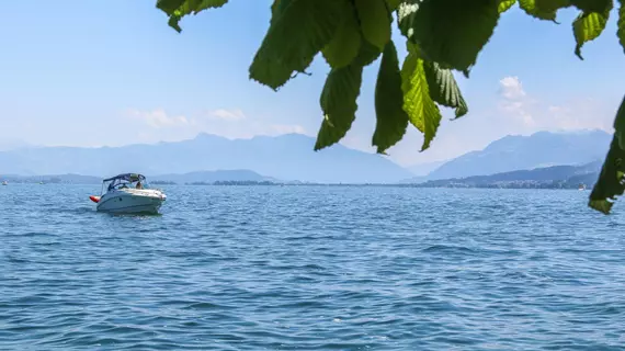 Hotel du Lac | Zürih Kantonu - Horgen District - Wadenswil