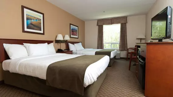 Quality Inn Airport | New Brunswick - Moncton (ve civarı) - Dieppe