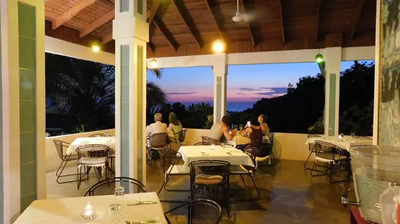 Lookout at Playa Tortuga | San Jose (ili) - Dominical (ve civarı) - Ciudad Cortes