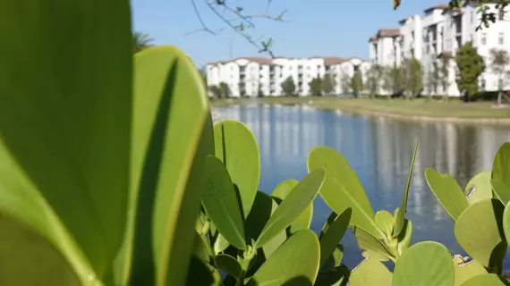 Doral Apartments by Miami Vacations | Florida - Miami (ve civarı) - Doral