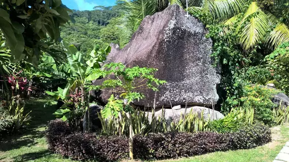 Cocotier du Rocher | Seyşeller - La Digue - La Passe