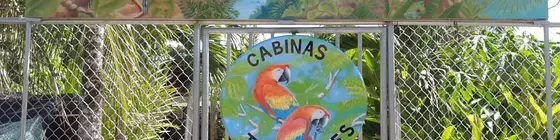 Cabinas Tropicales Puerto Jimenez | Puntarenas (ili) - Puerto Jimenez