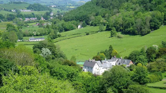 The Forest Country House B&B | Galler - Powys - Newtown