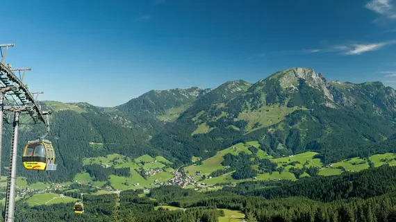 Kronenhirsch | Salzburg (eyalet) - Hallein - Russbach am Pass Gschuett