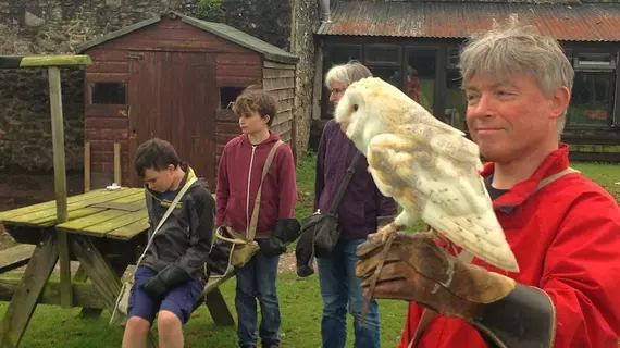 Exmoor Owl & Hawk Centre | Somerset - Minehead - Allerford