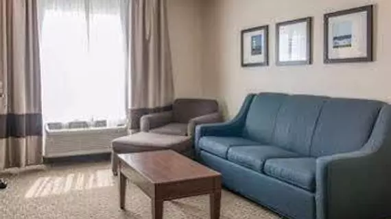 Comfort Suites Wixom / Novi | Michigan - Detroit (ve civarı) - Wixom