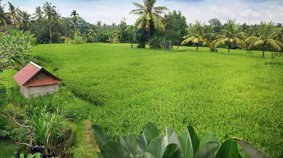 Bisma Cottages Ubud | Bali - Ubud - Ubud Kent Merkezi