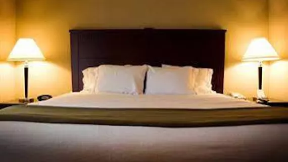 Desalis Hotel London Stansted | Essex (kontluk) - Bishop's Stortford