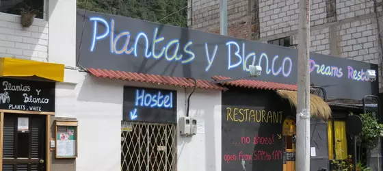 Hostal Plantas y Blanco | Tungurahua - Banos