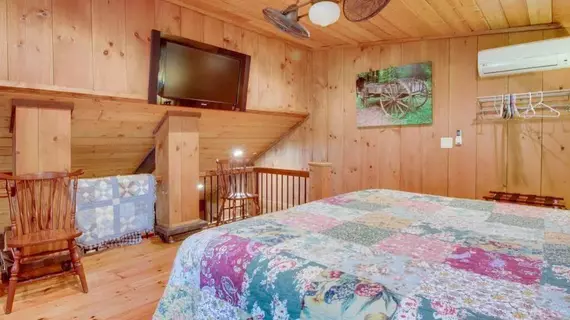 Moonshine Rapids Cabin | Georgia - Blue Ridge (ve civarı) - Ellijay