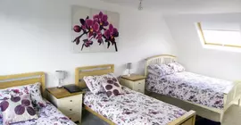 Bay Tree House B&B | Londra (ve civarı) - Barnet - Friern Barnet