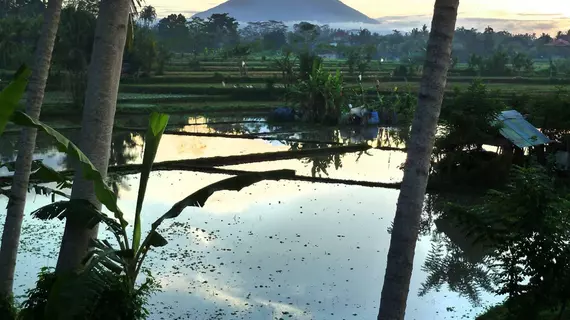 Temuku Villas Ubud | Bali - Ubud - Kedewatan