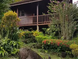 Phanom Bencha Mountain Resort | Krabi İli - Krabi