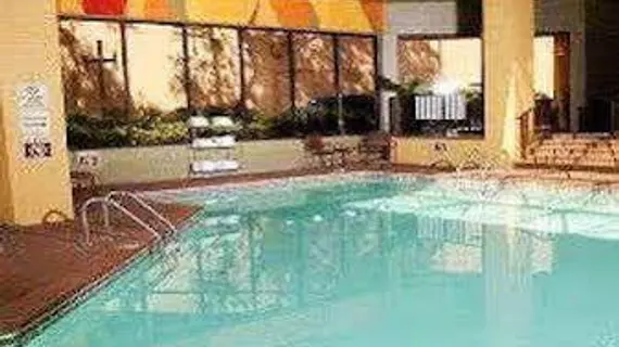 Windsor Hotel Atlanta | Georgia - Atlanta (ve civarı) - College Park