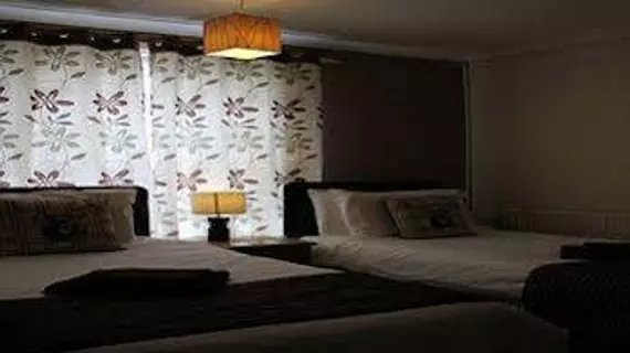 Elmfield Guest Accommodation | Norfolk (kontluk) - Norwich - The Broads Ulusal Parkı