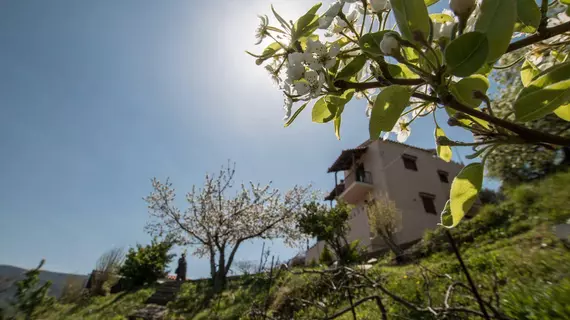 Aori Hillside Villa | Girit Adası - Hanya (bölge) - Kantanos-Selino - Kopetoi