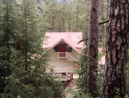 Parvati Woods Cottage Kasol | Himaşal Pradeş - Manali (ve civarı) - Kullu